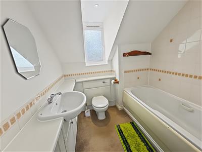 Picture 5